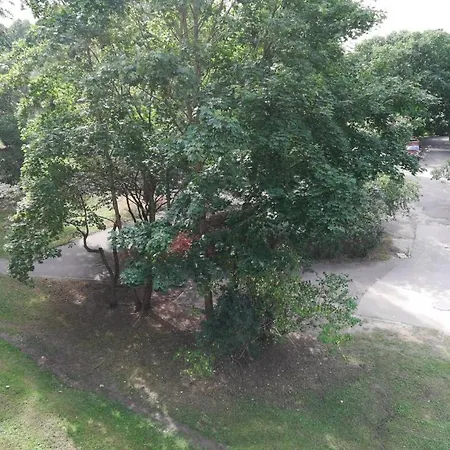 Apartment Ernesta Riga